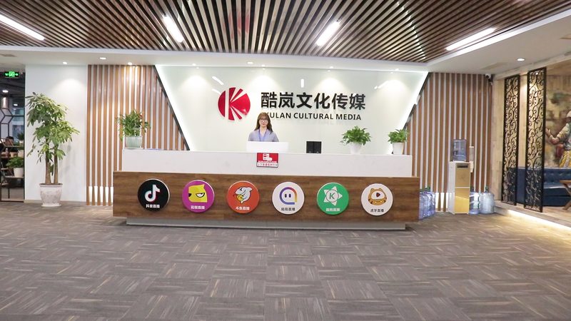 上海本地媒介投放：行业标准揭秘与趋势洞察