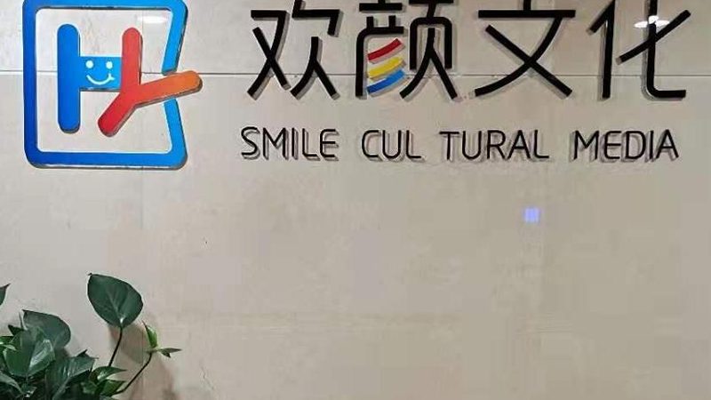 文化传媒公司经营范围揭秘：教育类别全解析**